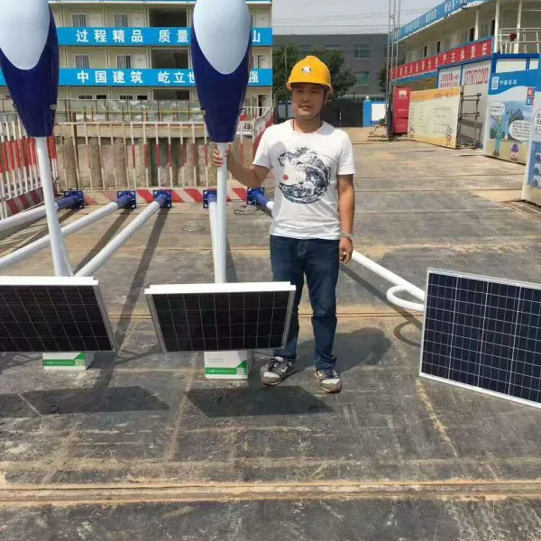 ���ݳ��ҹ�Ӧ��ũ��̫����·��6��12V30WLED̫����·��
