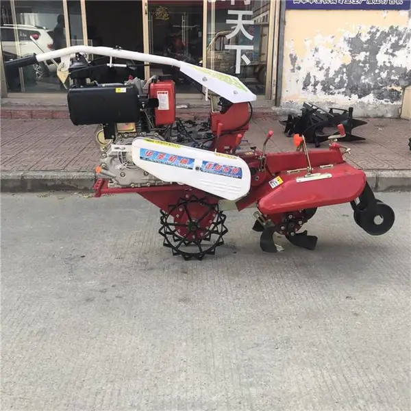 ũ���￪�������� �����������