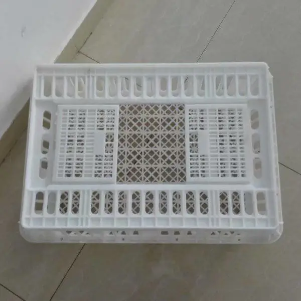 厂家直销成鸡筐 青年鸡周转筐 元宝成鸡周转筐