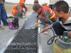 桥梁tst伸缩缝 弹塑体