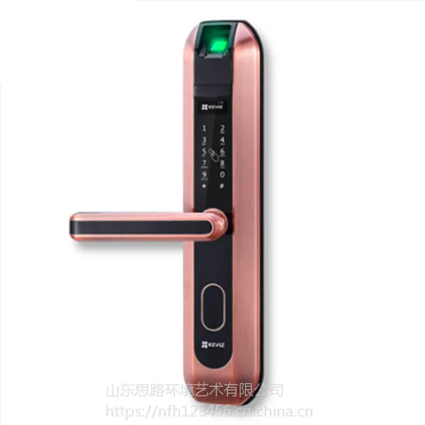 海康DL1-RBT 指纹锁密码锁 家用防盗智能锁 指纹 密码 感应卡 钥匙多用