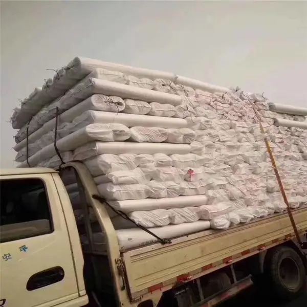 ��������1�׿� 80������ ��ǽ������
