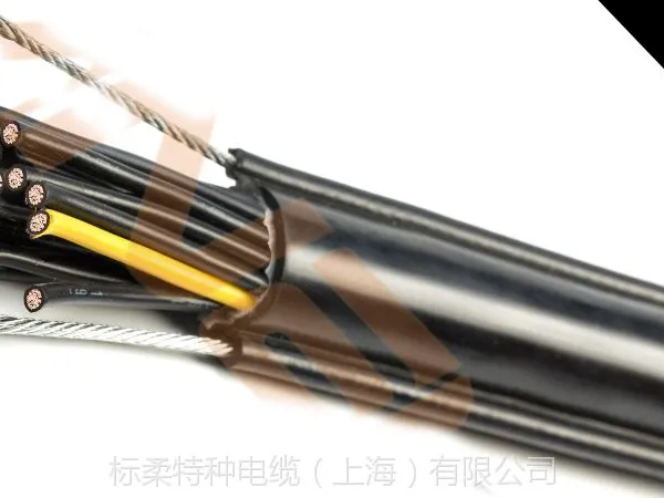 PENDANT CABLE电动葫芦电缆lift-2s