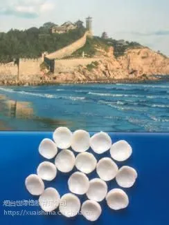 电缆输送带轮胎用高苯乙烯橡胶 hs-68
