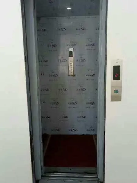 别墅垂直式电梯 自建房电梯启运镜湖区液压无机房平台