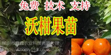 ����2017�ָ���۸�