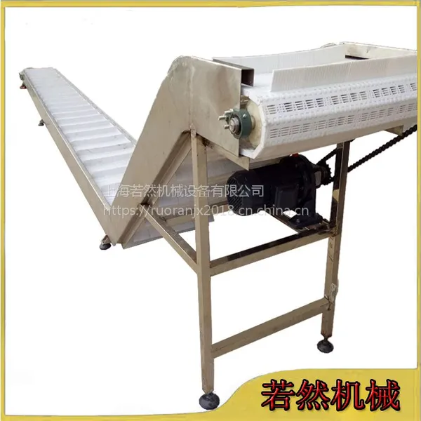 供应上海若然机械食品网带输送机RR-WDSSJ型号 价格优惠
