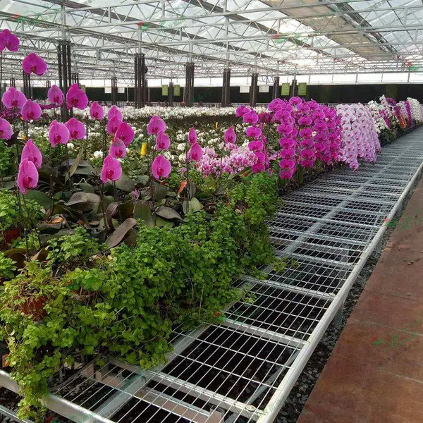 汉明潮汐式移动苗床-成熟的农业灌溉技术-新品