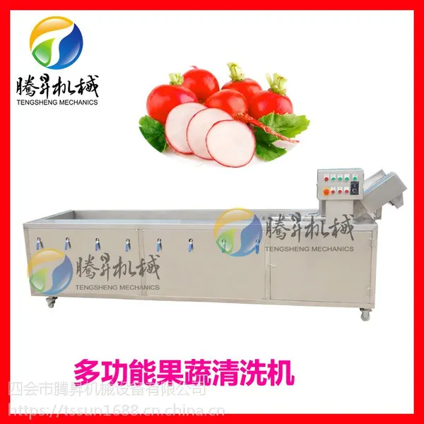 腾昇牌 葡萄干清洗机 蔬菜水果清洗机 最实用多功能的洗菜机 厂家直销