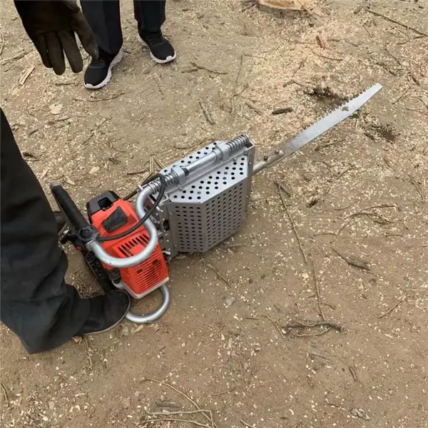 �������Яʽ��ľ��ֵ�� ���� �����͹����ʵ�����ʽ������