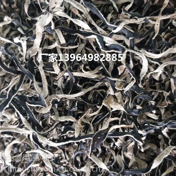 毛木耳丝 白背黑木耳丝 螺蛳粉木耳丝 味千拉面木耳丝专供黑木耳丝 水饺馅木耳丝