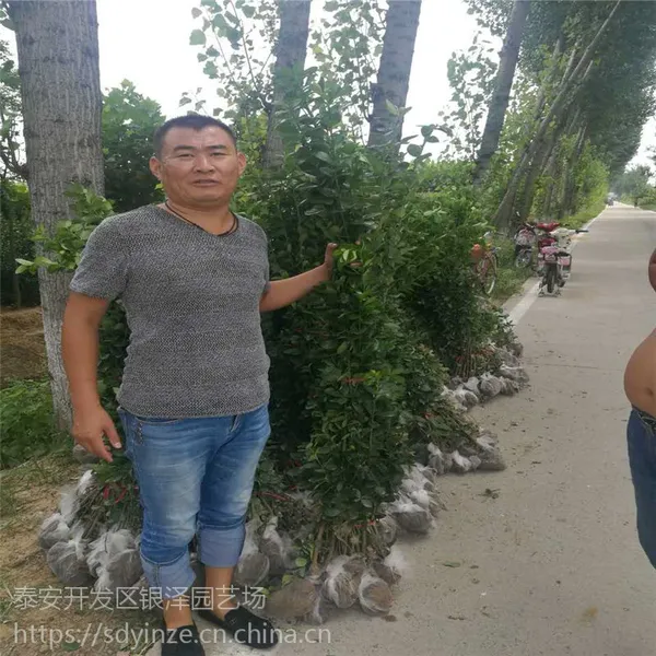 1�ױ���������۸�1.5��2�ױ���������3�ױ���������۸�