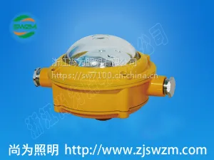 SW7153防爆LED应急灯_尚为SW7153照明12W