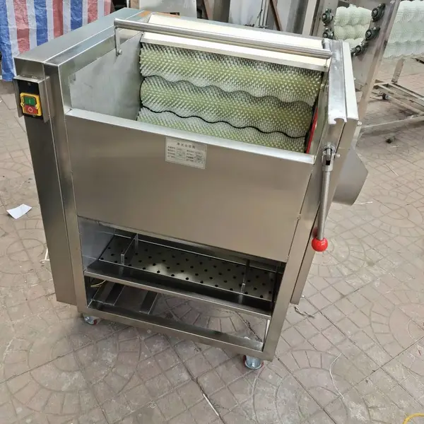 双丰 自动淋水式脱皮清洗机 可清洗根茎类蔬菜