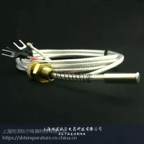 高精度电机轴承Pt100温度传感器轴承测温探头机械轴承专用 价格实惠
