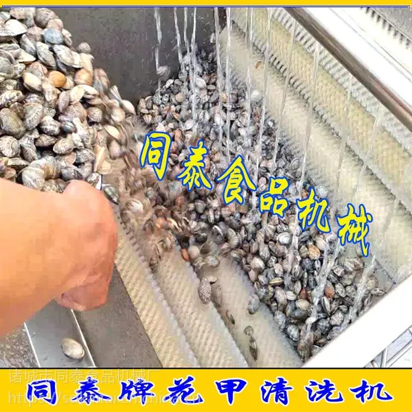 花蛤、毛蛤清洗机,扇贝清洗机
