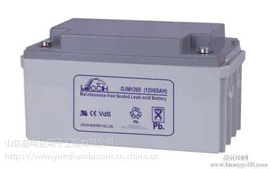 理士蓄电池12V-65AH的参数与尺寸