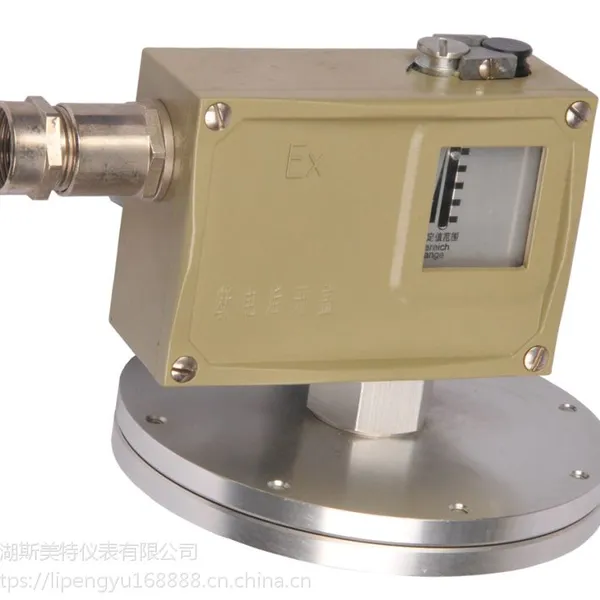 0803600压力控制器/压力开关/D501/7D切换差可调0.05-0.6MPa