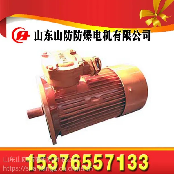 山东山防供应DSB55输送机用隔爆型三相异步电动机