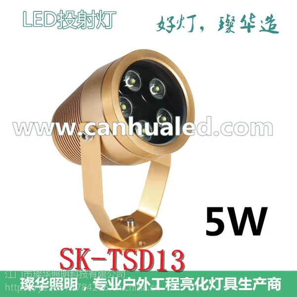 璨华照明新款5W土豪金LED投射灯