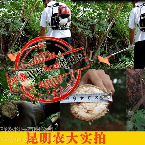 广州本田GX35割灌机四冲程背负式割草机140汽油机打草4冲程收割机