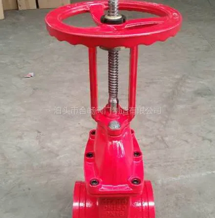 DN50 DN100明杆沟槽软密封闸阀Z81X 一件起批/代发 量大质优