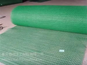 高分子合成材料 三维植被网-植草网厂家