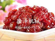 真空浸糖锅特点_真空浸糖的好处_蜜饯浸糖锅结构原理