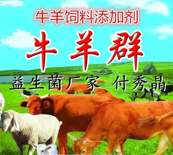 牛羊饲料添加剂厂家供应牛羊饲料添加剂