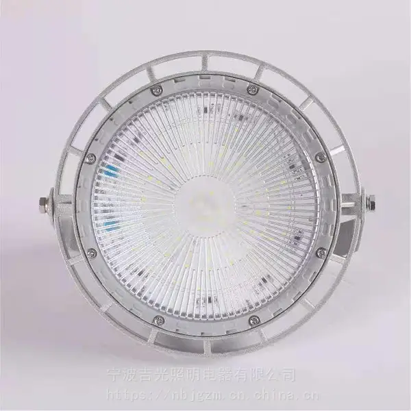 ������ ���������ƴ�***��ЧLED***GFL9102 100W �׹�