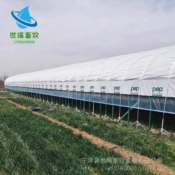散养鸭棚搭建 养鸭棚每平方造价 鸭舍大棚施工厂家