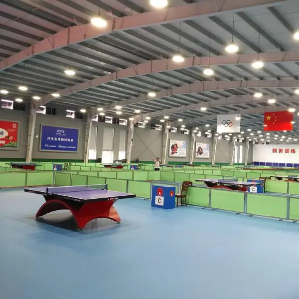 云浮乒乓球桌|云浮乒乓球台|室内外乒乓球台桌|室内PVC地板铺装