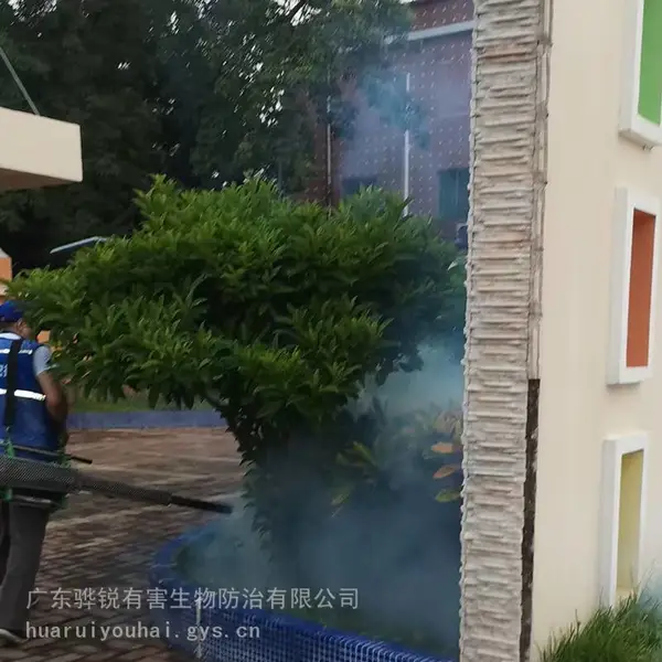 内蒙古四害消杀 内蒙古灭苍蝇专业公司 就近派工 标准化作业