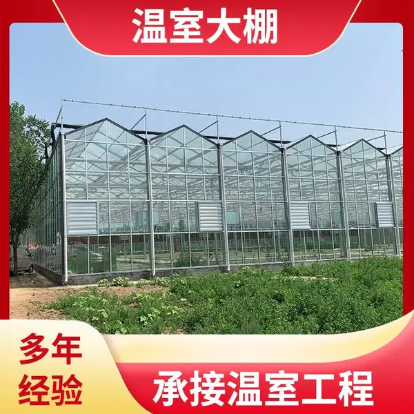 文山麻栗坡 设施大棚 车厘子种植温室 中科 ZKMLP-05