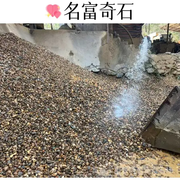 广东中山鹅卵石一吨价格 水缸底鹅卵石装饰 中山5-8公分鹅卵石垫层