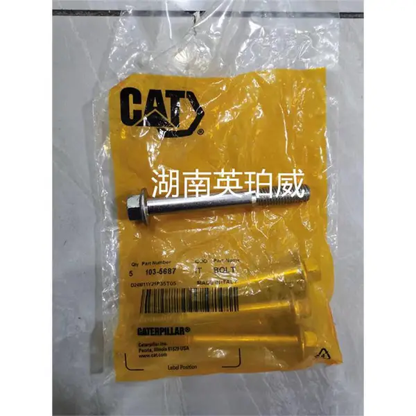 �����ھ��������� CAT ȫ�½���