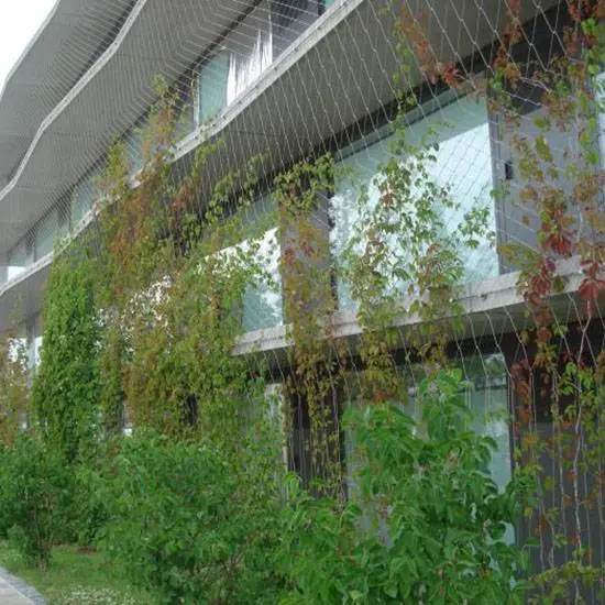 植物攀爬不锈钢丝绳网 小院阳台防抛物安全网 楼梯防护网
