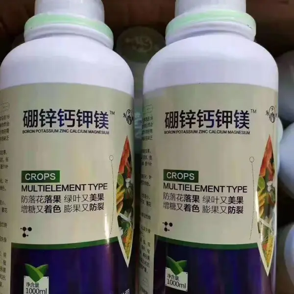 Ϊ���ҵ��п�Ƽ�þ����Ԫ��ͬ��Ҷ���1000����