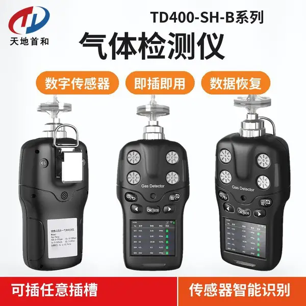 泵吸式乙烷检测仪TD400-SH-B-C2H6气体探测仪数据存储