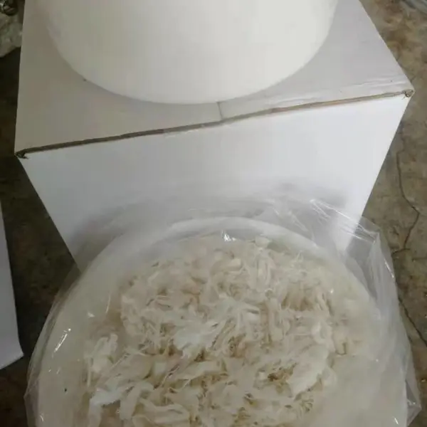循环水泵注入式泥状填料|黑色泥状填料|注入式泵阀软填料