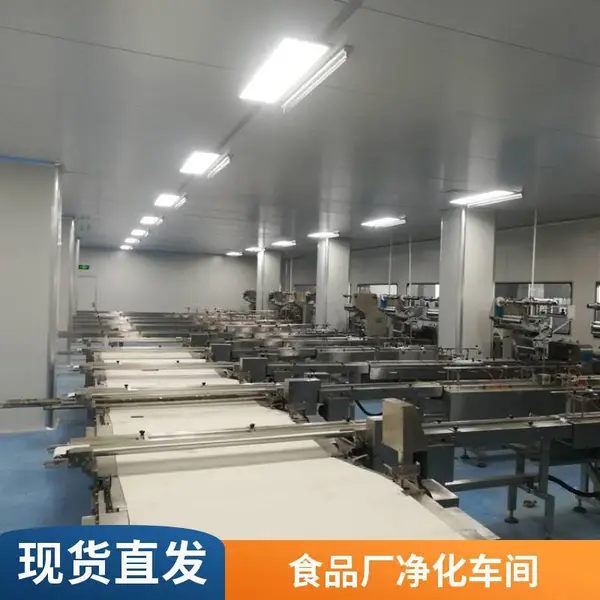 食品厂十万级净化车间 无尘无菌洁净实验室 免费设计