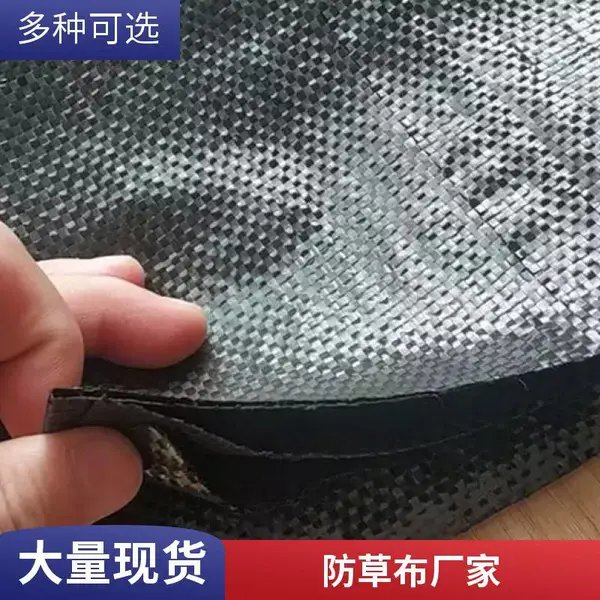 果树用打孔防草布 园艺草莓育苗用防草布 果树苗木遮盖园艺地布