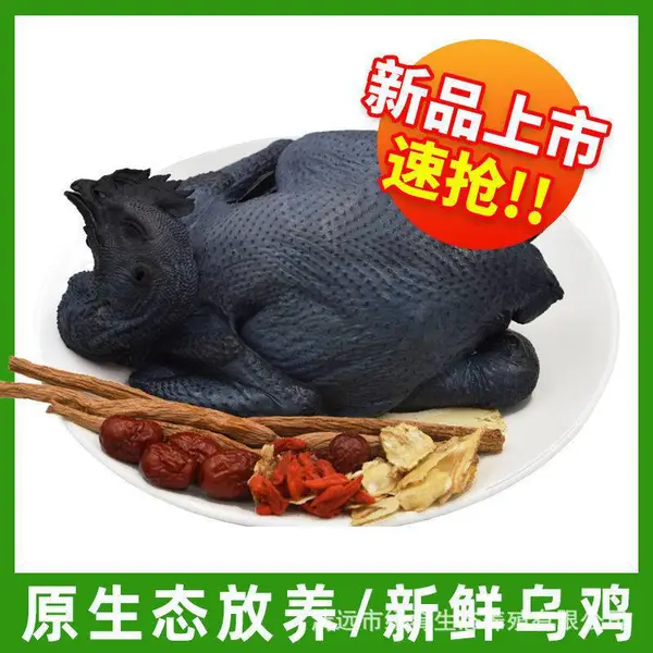 乌鸡新鲜农家散养散养土鸡乌骨鸡活鸡乌骨鸡活鸡体现杀整只厂家供应一手三鸟