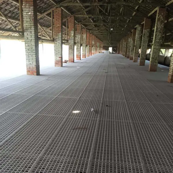 肉鸡漏粪地板 养鸡专用漏粪地板 塑料漏粪板模具