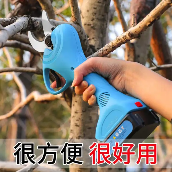 �綯�������� ���ߵ綯���� ��Яʽƻ�����޼���