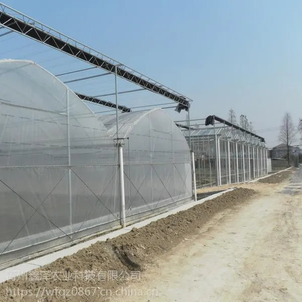 薄膜智能连栋温室造价 供应连栋温室 智能温室价格