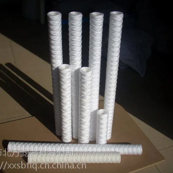 ������Ԫ316L����ֹǼ�������о