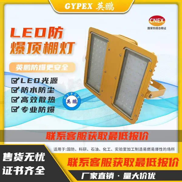 LED防爆顶棚灯油站灯模组灯免维护灯煤矿防爆灯