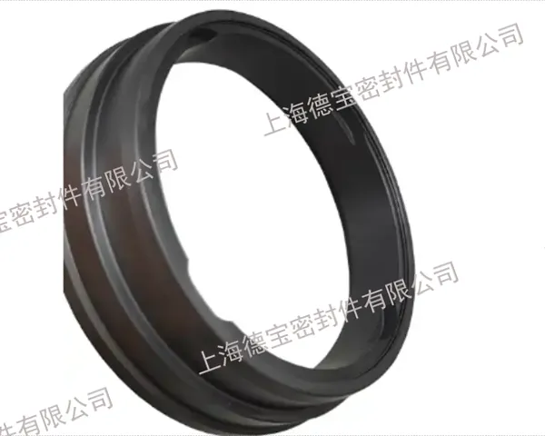 上海碳化硅密封环售价 诚信服务 上海德宝密封件供应