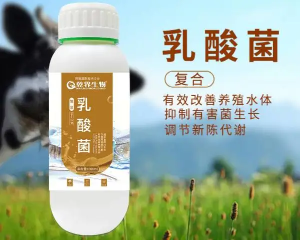 辽宁多元有机酸水产饲料添加剂厂家直供 诚信为本 上海乾界生物科技供应